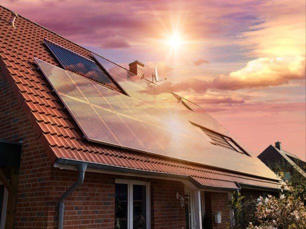 Solar Panels the ultimate sunbathers