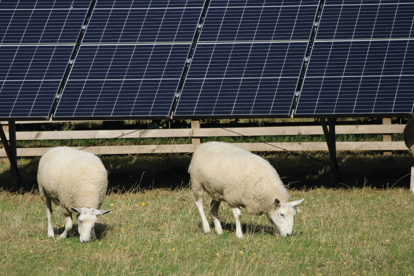 Farming and agricultural solar panels
